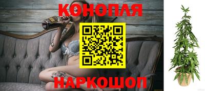 тгк Новозыбков