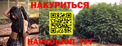 тгк Новозыбков
