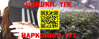 тгк Новозыбков