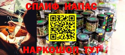 тгк Новозыбков